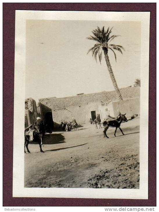 Belle photo ALGERIE 1932 - TOUGGOURT - GARCONNETS - ANES