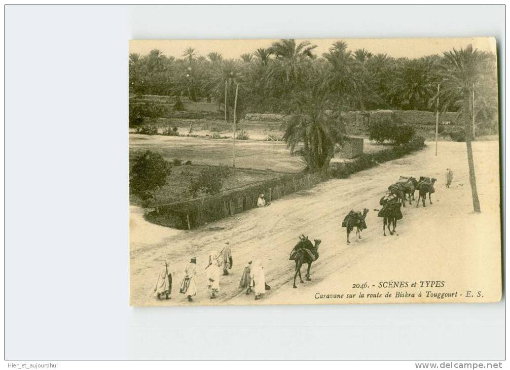 599 ) Caravane sur la route de BISKRA à TOUGGOURT, Scène et Types  . 2 Scans. Année 19**