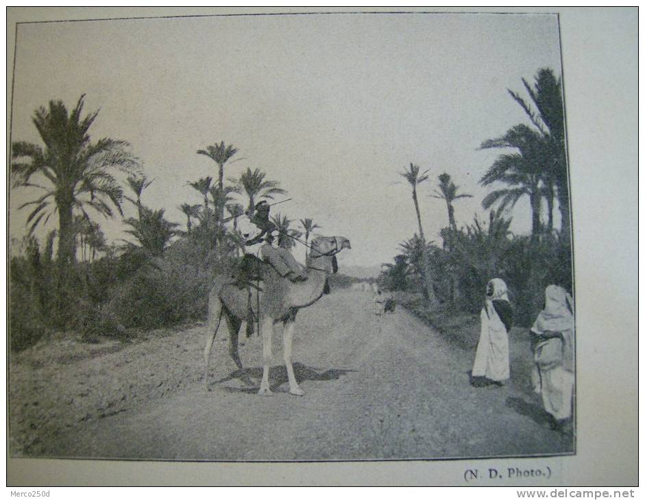 Algérie , Biskra , méhari monté par un Targui , route de Touggourt