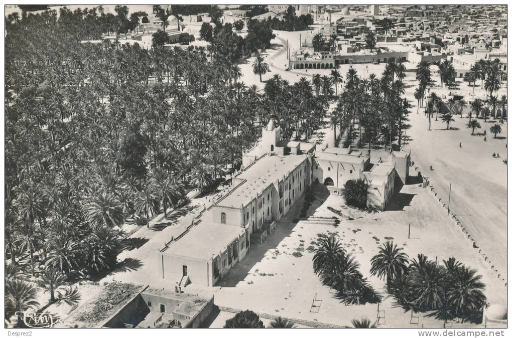 TOUGGOURT cpsm Vue Aérienne     23.74 A Combier