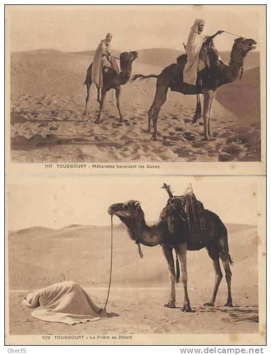 touggourt lot de 2 cpa