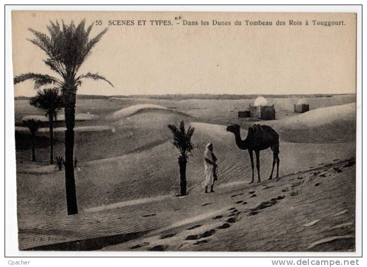 EGYPTIAN TYPES AND SCENES - Dans les dunes du Tombeau des Rois à Touggourt