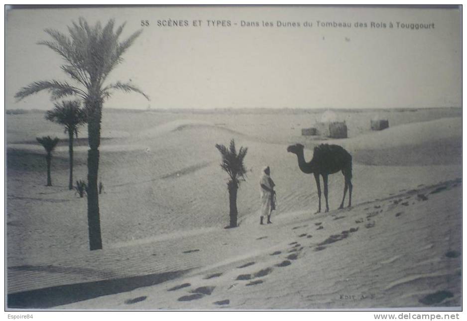 C. Postale  ALGERIE - TOUGGOURT - DANS LES DUNES DU TOMBEAU DES ROIS