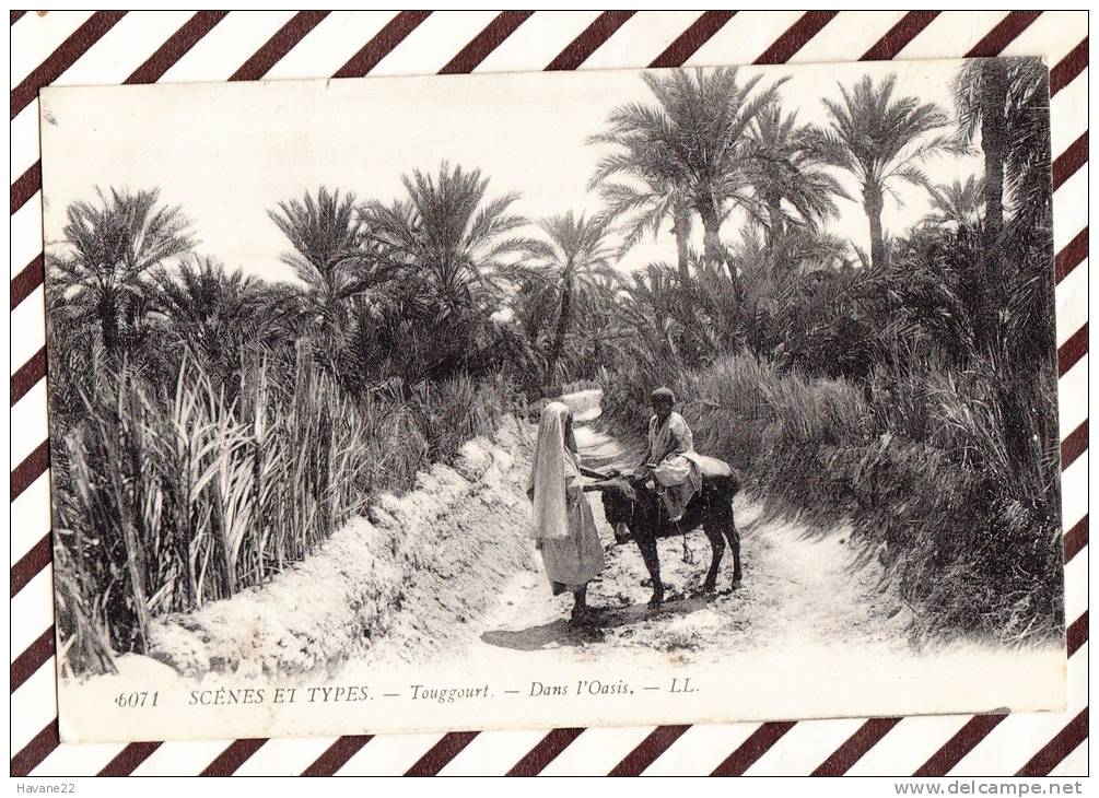 U2007 DANS L´OASIS TOUGGOURT 1909 2 SCANS
