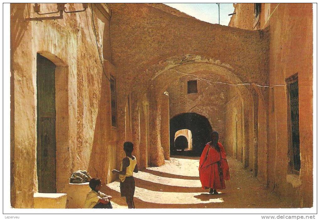 CPM ALGERIE ENVIRONS DE TOUGGOURT TEMACINE (NON ECRITE,PLIURE TRANSVERSALLE)