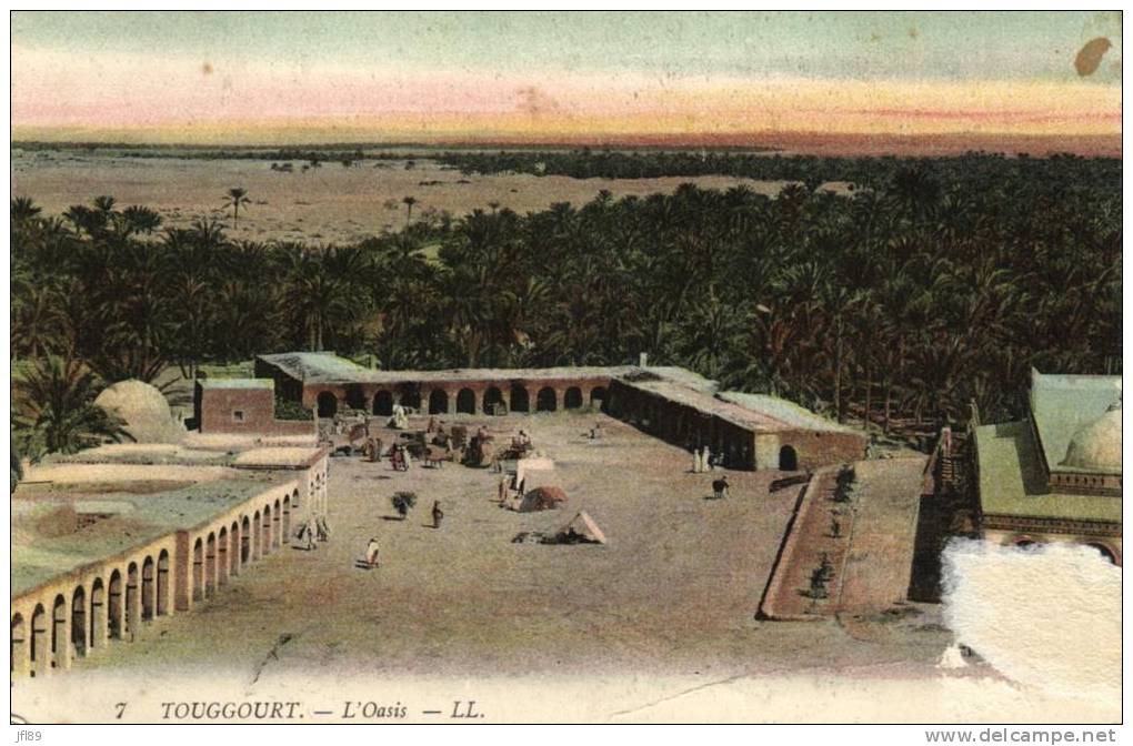 Algérie - Touggourt - L' Oasis