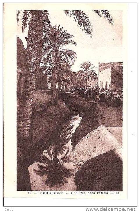 TOUGGOURT - Une rue dans l'oasis.