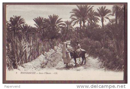 ALGERIA  Touggourt dans l'Oasis  alg15