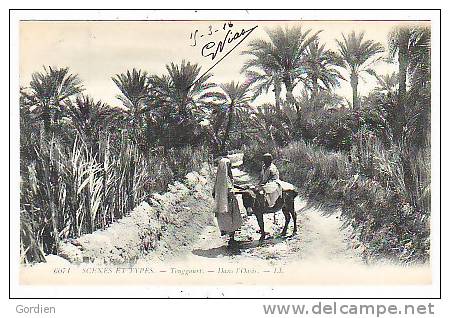 Algérie    TOUGGOURT   Dans  l´ Oasis