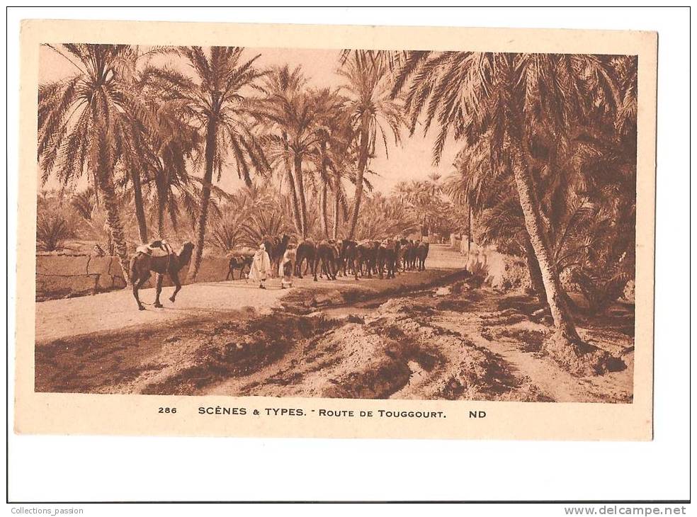 CP, Algérie, Scènes et Types, route de Touggourt, écrite