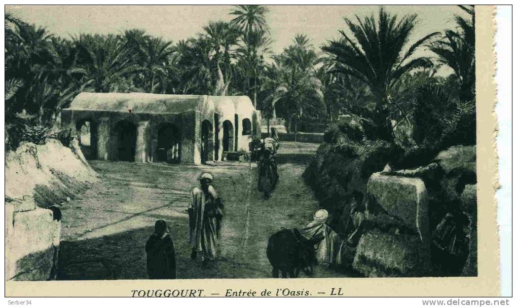 ALGERIE  -  DZ-TS16  -  TOUGGOURT  -  ENTREE DE L' OASIS