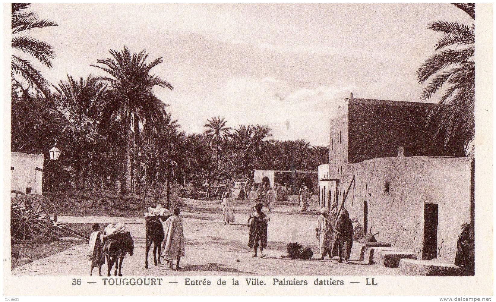 ALGERIE - TOUGGOURT - Entrée de la Ville - Palmiers Dattiers