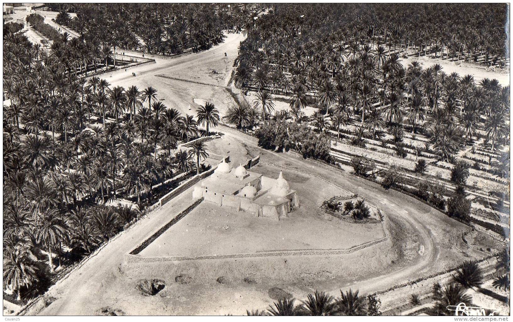 ALGERIE - TOUGGOURT - Vue Aérienne
