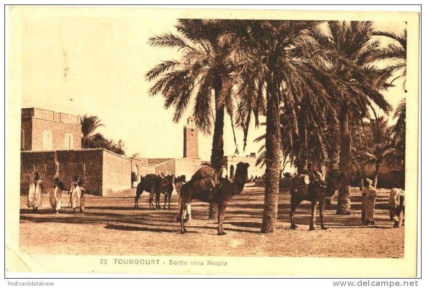 Touggourt - Sortie vers Netzla