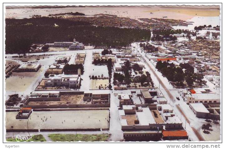 ALGERIE - CP - TOUGGOURT - Vue Générale - Neuve/Mint