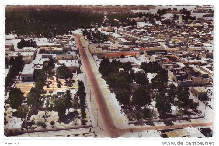ALGERIE - CP - TOUGGOURT - Vue Générale - Neuve/Mint