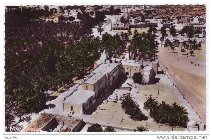 ALGERIE - CP - TOUGGOURT - Vue Générale - Neuve/Mint