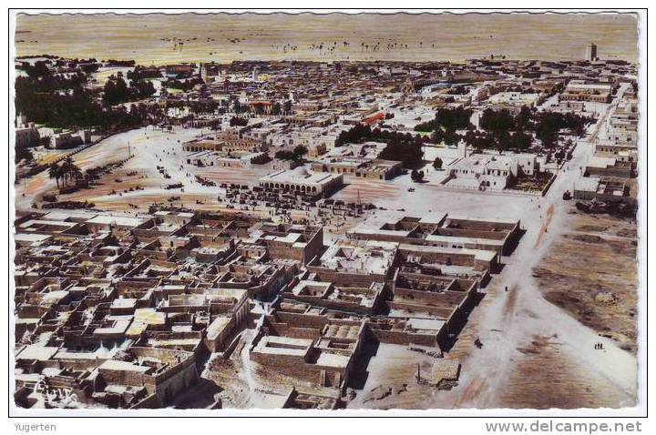 ALGERIE - CP - TOUGGOURT - Vue Générale - Neuve/Mint