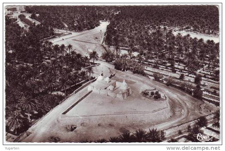 ALGERIE - CP - TOUGGOURT - Vue aérienne - Neuve/Mint
