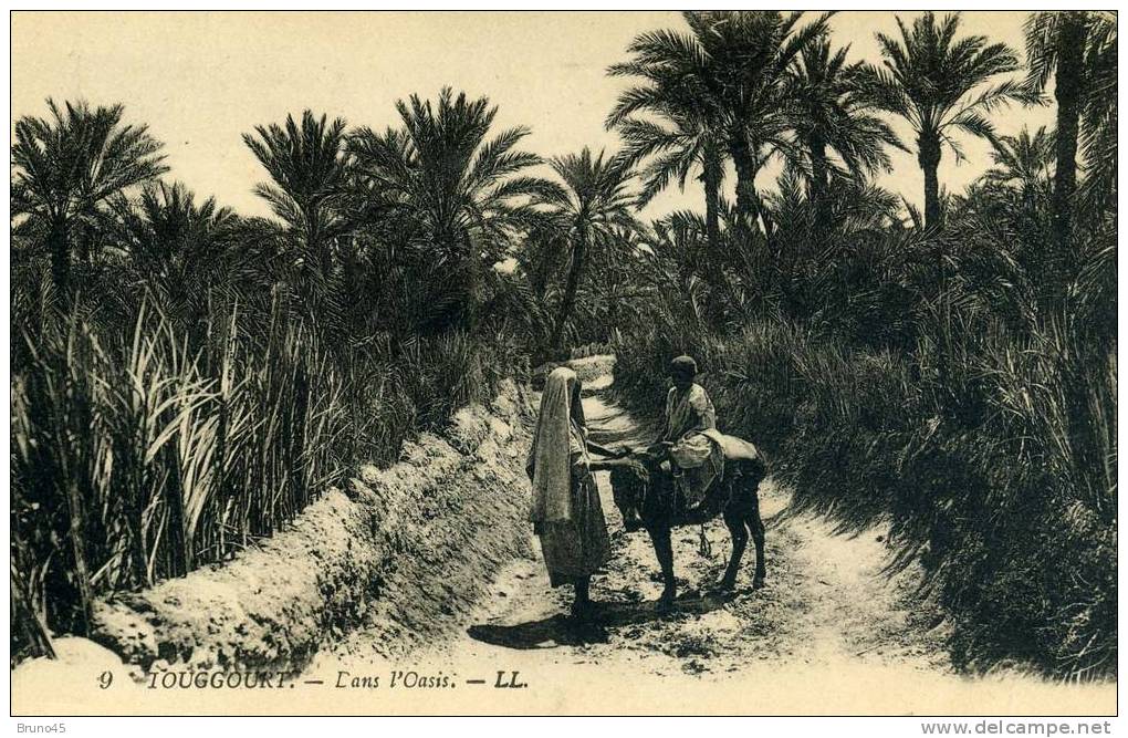 CPA animée - TOUGGOURT - DANS L'OASIS - X842