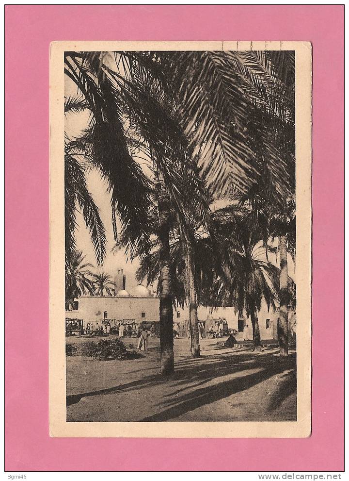 * CPSM..ALGERIE..TOUGGOURT. ...  Place du Marché