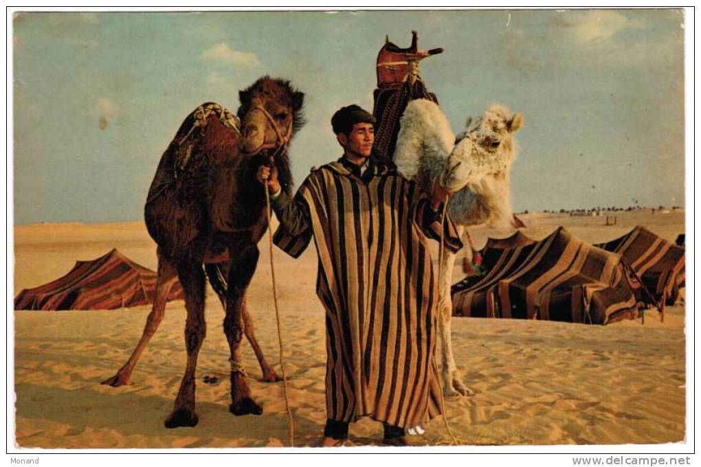 Touggourt - Hôtel Nomade