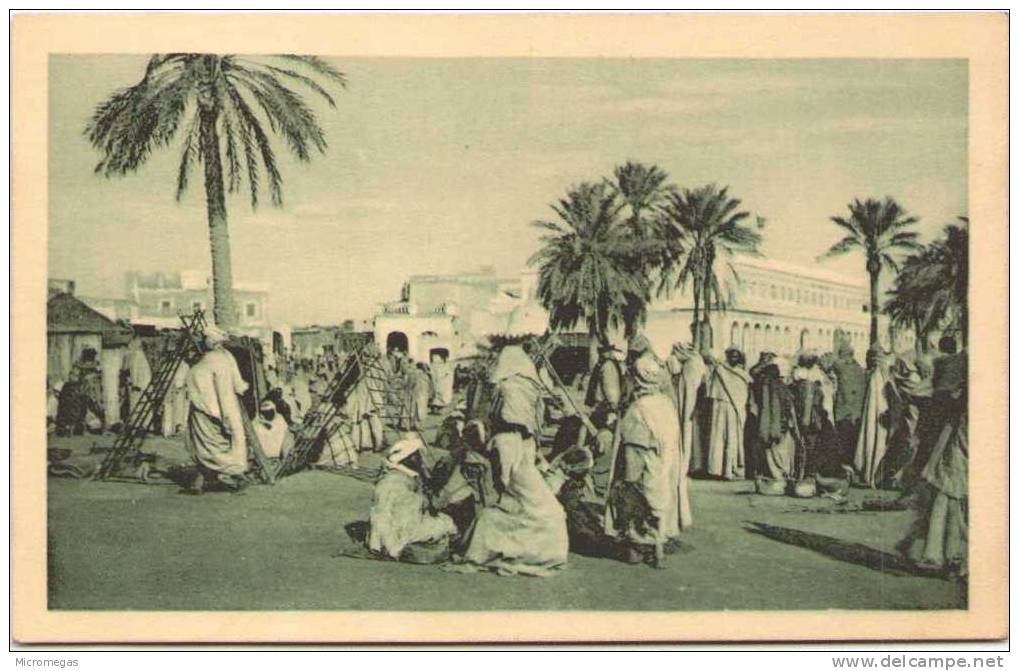 ALGERIE - Marché de TOUGGOURT