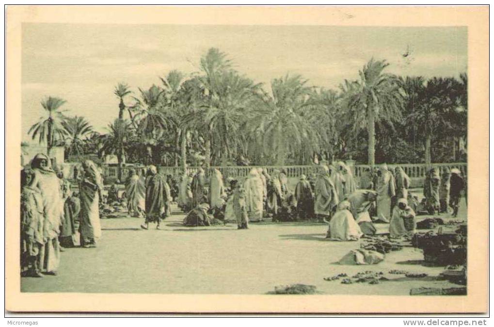 ALGERIE - Marché de TOUGGOURT