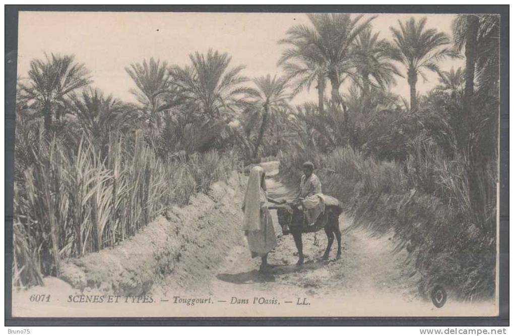 TOUGGOURT - Dans l´Oasis - LL 6071