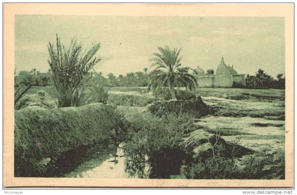 ALGERIE - TOUGGOURT - Tombeau de Sidi-Yaya