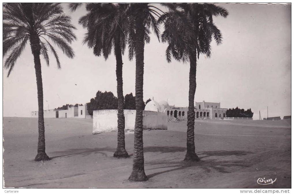 Algérie,Algéria,TOUGGOURT ,il  ya + 60 ans,oasis  nord sahara algérien,HOPITAL dans le désert,oued righ,rare