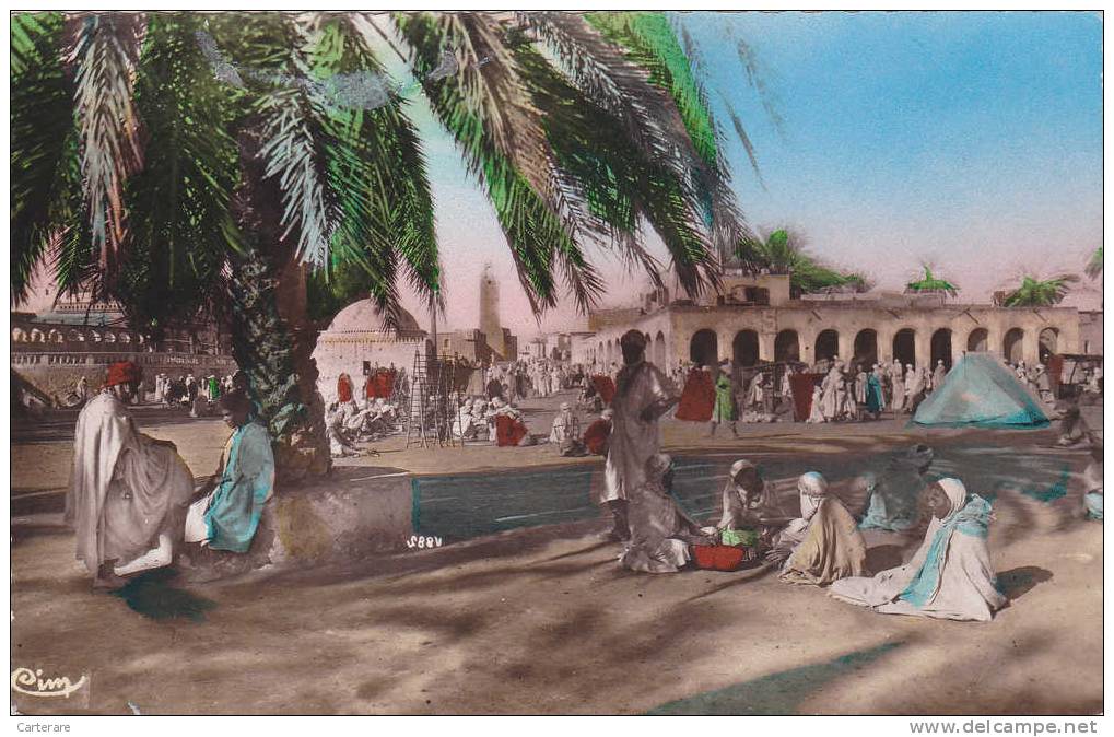 Algérie,Algéria,TOUGGOURT ,il ya + 60 ans,oasis  nord sahara algérien,place du marché,oued righ,rare