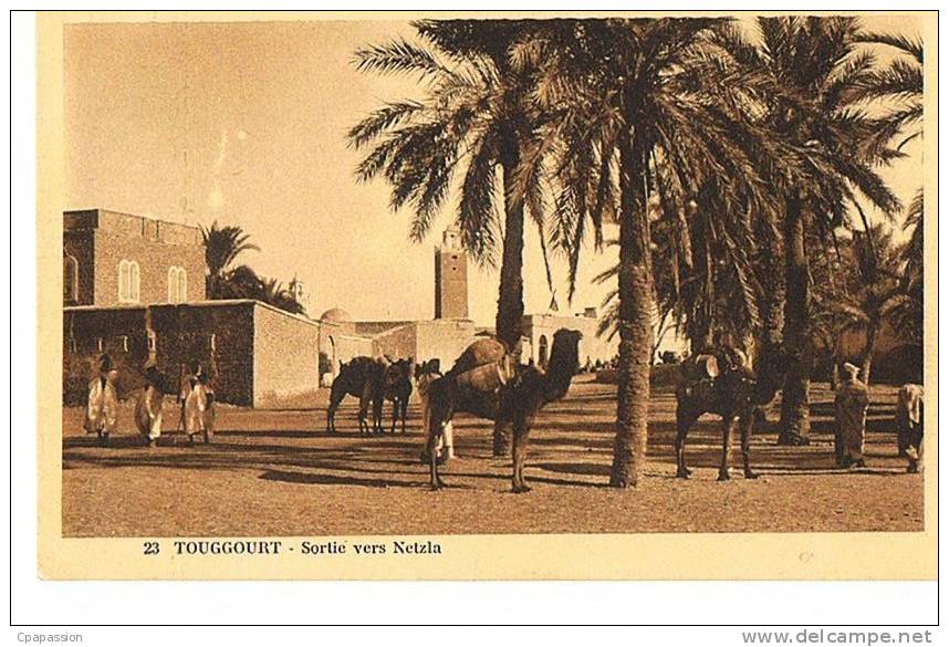 TOUGGOURT - Sortie vers Netzla - - cpsm sépia - écrite - Edit Mme Dewamme- Touggourt