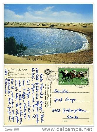 Algeria - Environs de Touggourt - Temacine