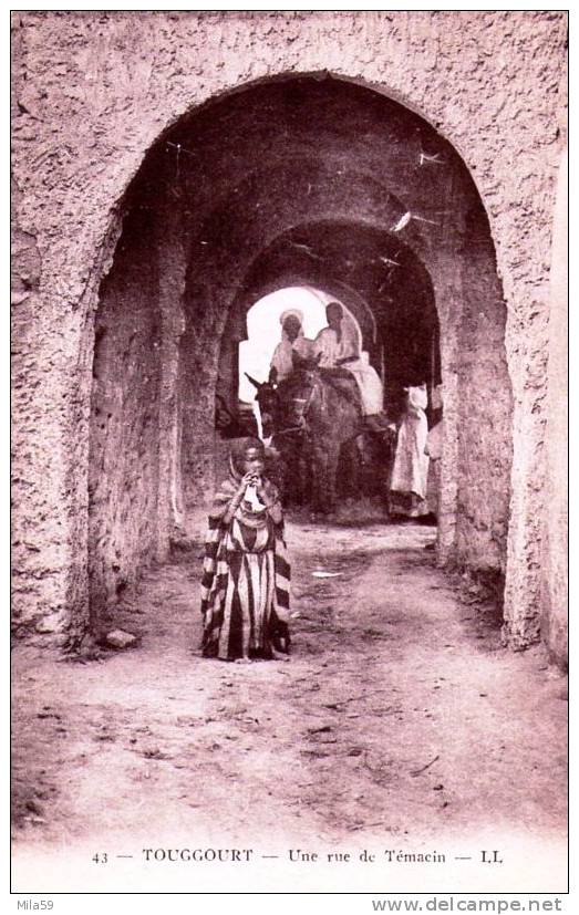 Touggourt. Une rue de Témacin