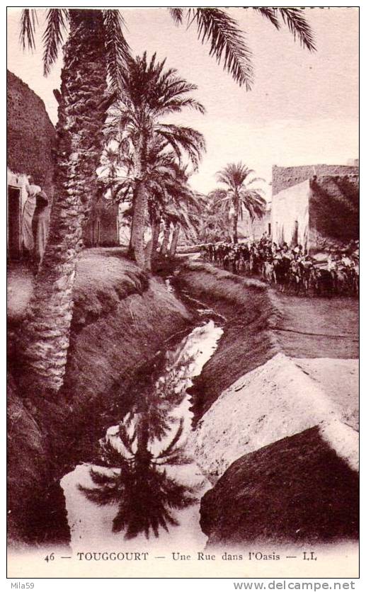 Touggourt. Une rue dans l´Oasis.