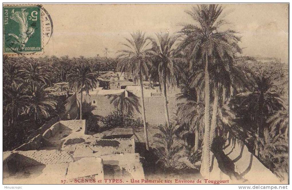 CPA Algérie - Touggourt - Une Palmeraie