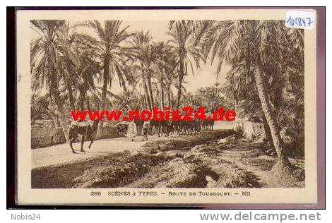 101847 Route de Touggourt (Arabien) mit Kamelen,   ca.1920