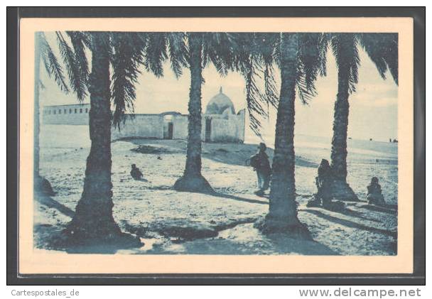 CPA Touggourt, Marabout a contre-jour