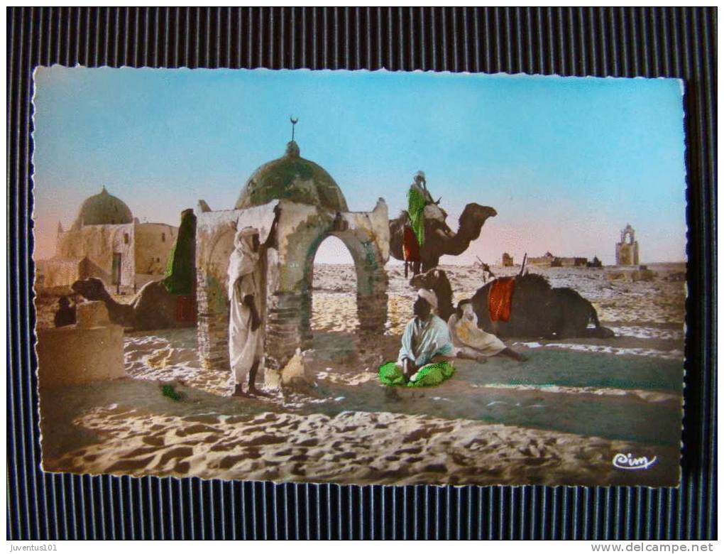 CPSM Touggourt-Les tombeaux des rois    L706
