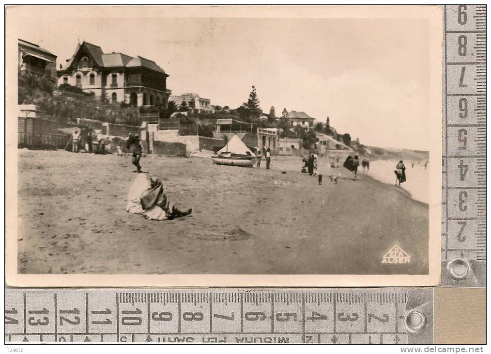 2869 - AIN EL TURK (ORAN) movimentata - viaggiata - vedi