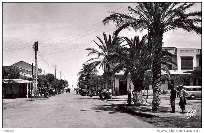 Algérie. Ain el Turk. Avenue du Gal Leclerc (  CPSM CAP 22  ).