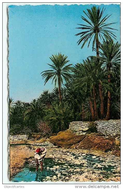 El Kantara, la riviere (scan recto-verso) KEVREN0036