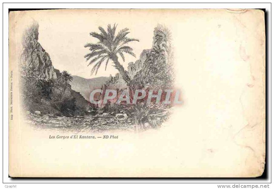CPA Les Gorges d'El Kantara