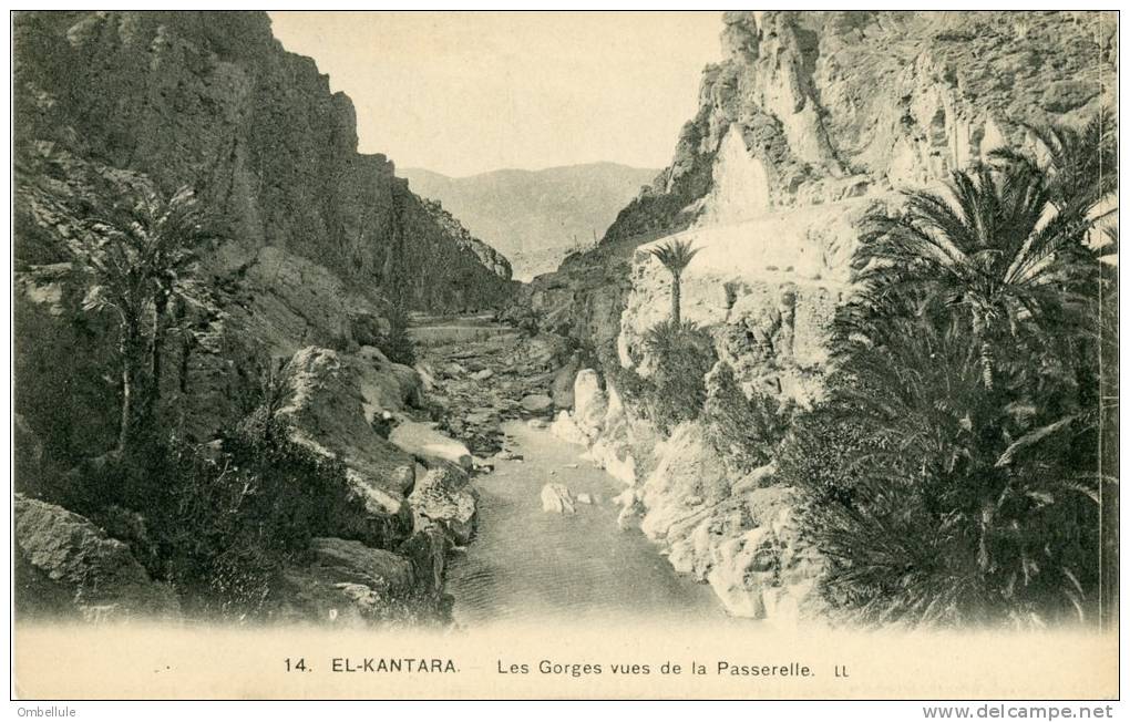 CPA El Kantara Les Gorges vues de la Passerelle