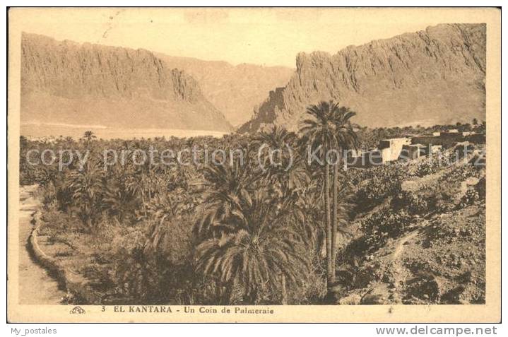 dg21313 El Kantara Un Coin de Palmeraie Kat. Algerien