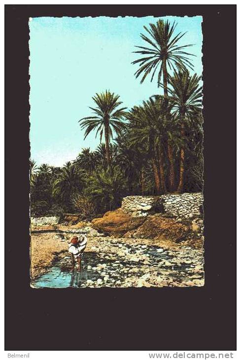 CP  ALGERIE   El  Kantara dans la rivière