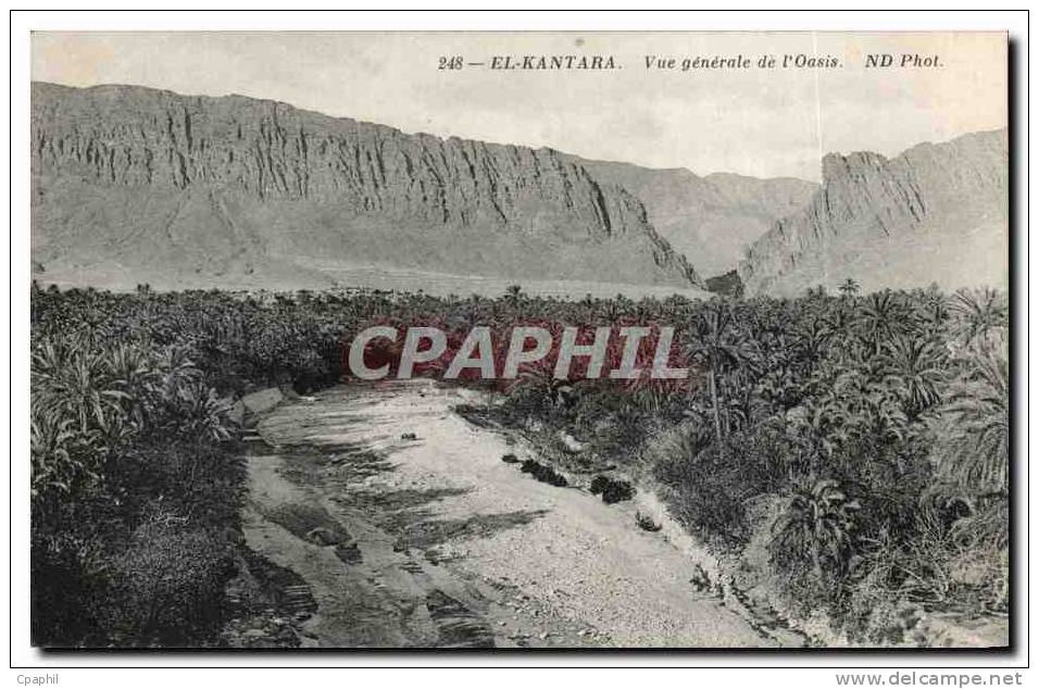 CPA El Kantara Vue generale de I Oasis