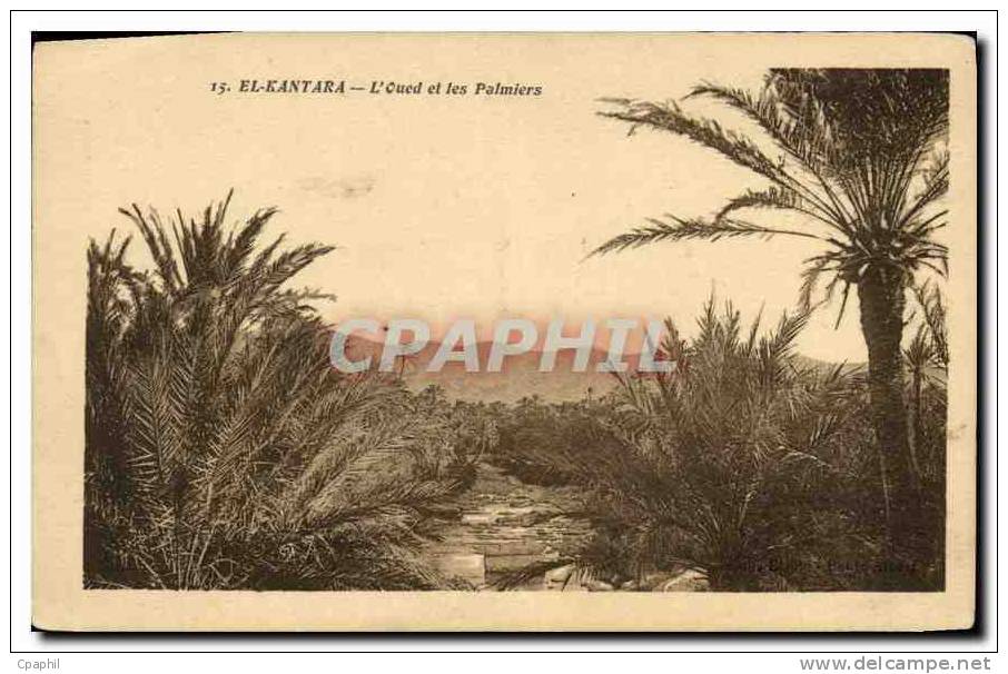 CPA El Kantara L'Oued et les Palmiers