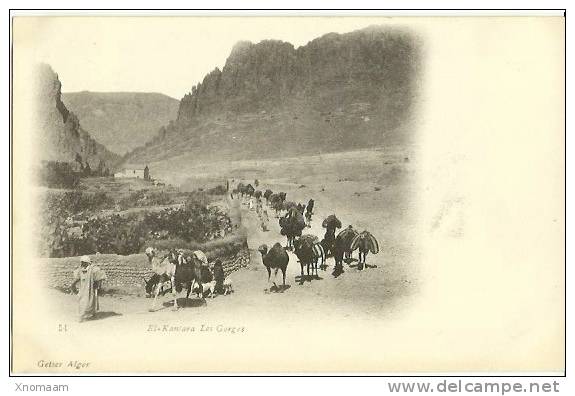 ALGERIE - El Kantara - les Gorges - une caravane  - non circulée  - VRN